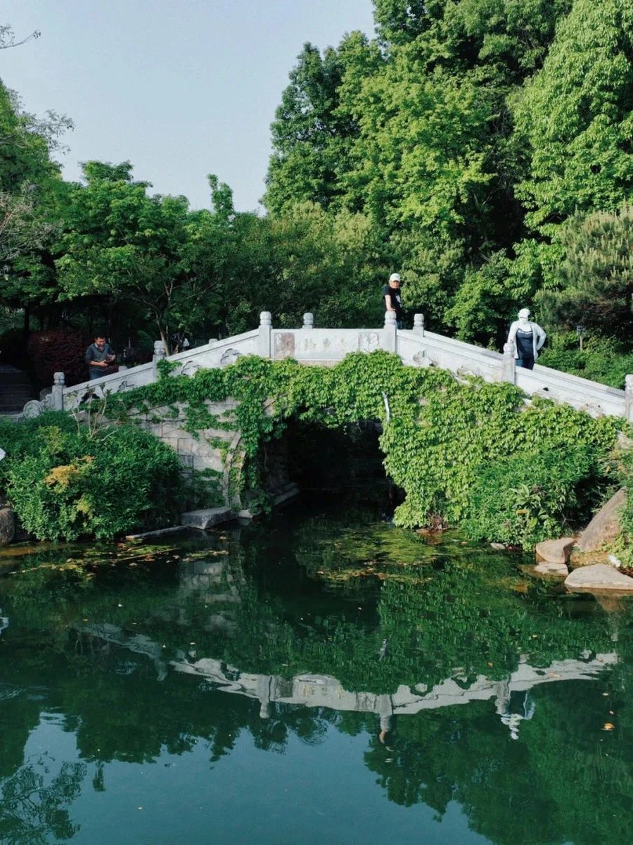 hangzhoufeel's tweet photo. Escape the summer heat at Gongsu Hushan Park in #Hangzhou! The lush greenery and cool shade of the trees will refresh your senses, offering a respite from scorching temperatures.🌳🌞 #VisitHangzhou https://t.co/IZwedzPCQD
