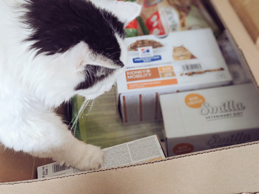 ScarletGlitter's tweet photo. It never fails to amuse me that there isn't a single box that enters my home which can be disposed of in less than about three days. Cannot imagine why. #CatLife #CatParenting #CatsAndBoxes https://t.co/PKjBenwdh0