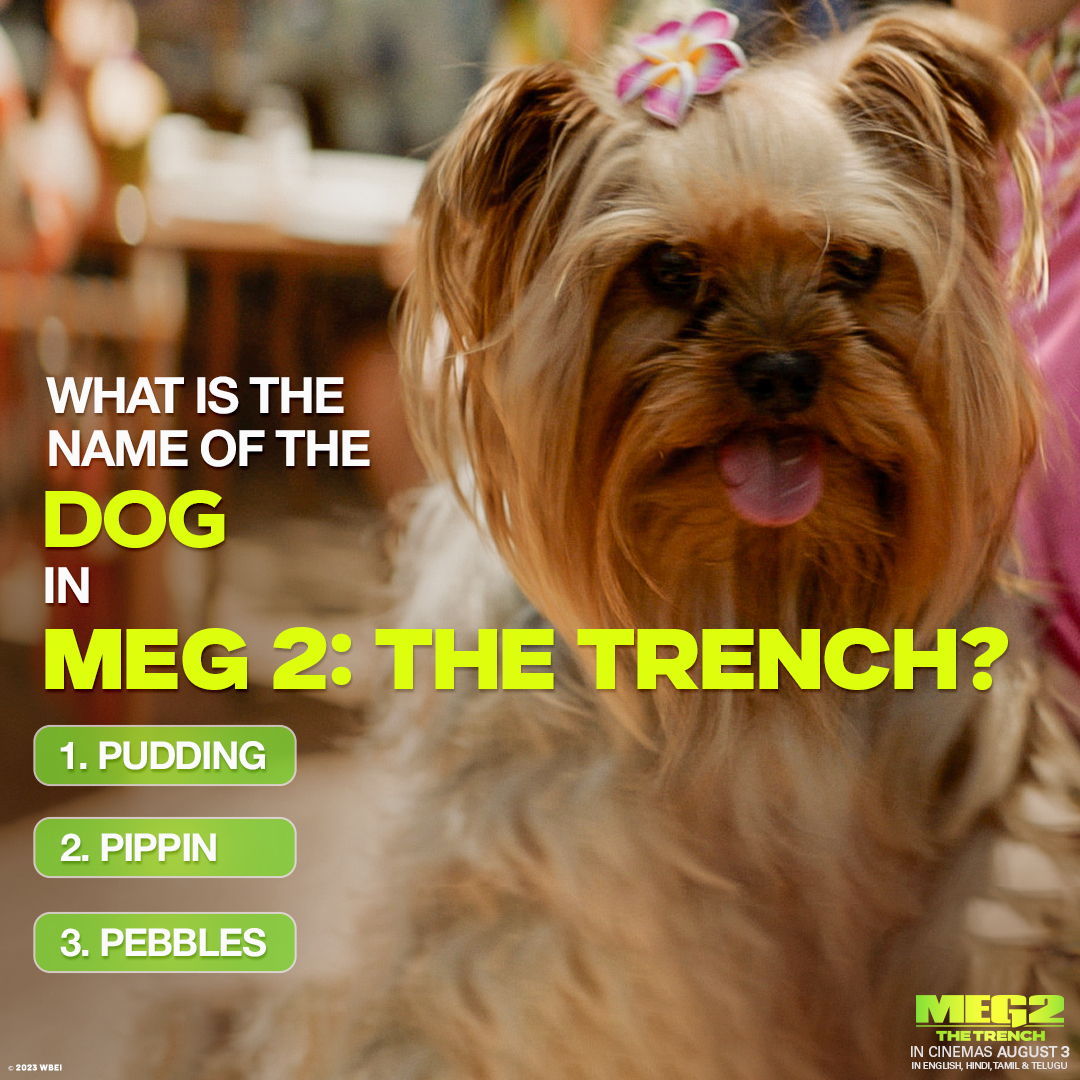 #Question2 of #Meg2MovieContestIndia
In Meg 2: The Trench, who is the irresistible canine companion?​
​
Hint: The dog was also a part of the first #MegMovie.
​
Participate &amp; stand a chance to win movie tickets to #Meg2: The Trench. Rules added in the comments.
​​
#WarnerBrosIndia