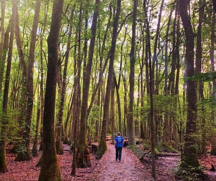 VisitDecaturAL's tweet image. Have you explored the trails in Decatur and Morgan County?
Check out the trails and fun locations to explore on our website! 
visitdecatural.org/outdoors

#visitdecatural #decaturwhereitsgreater #sweethomealabama #alabamatravel #alabamanature #alabamahikes