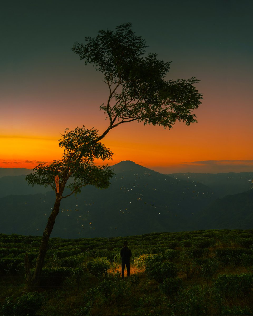 Two countries, one mountain view, and an unbreakable bond.

That mountain in the frame belongs to Nepal, and I took this photo from India.