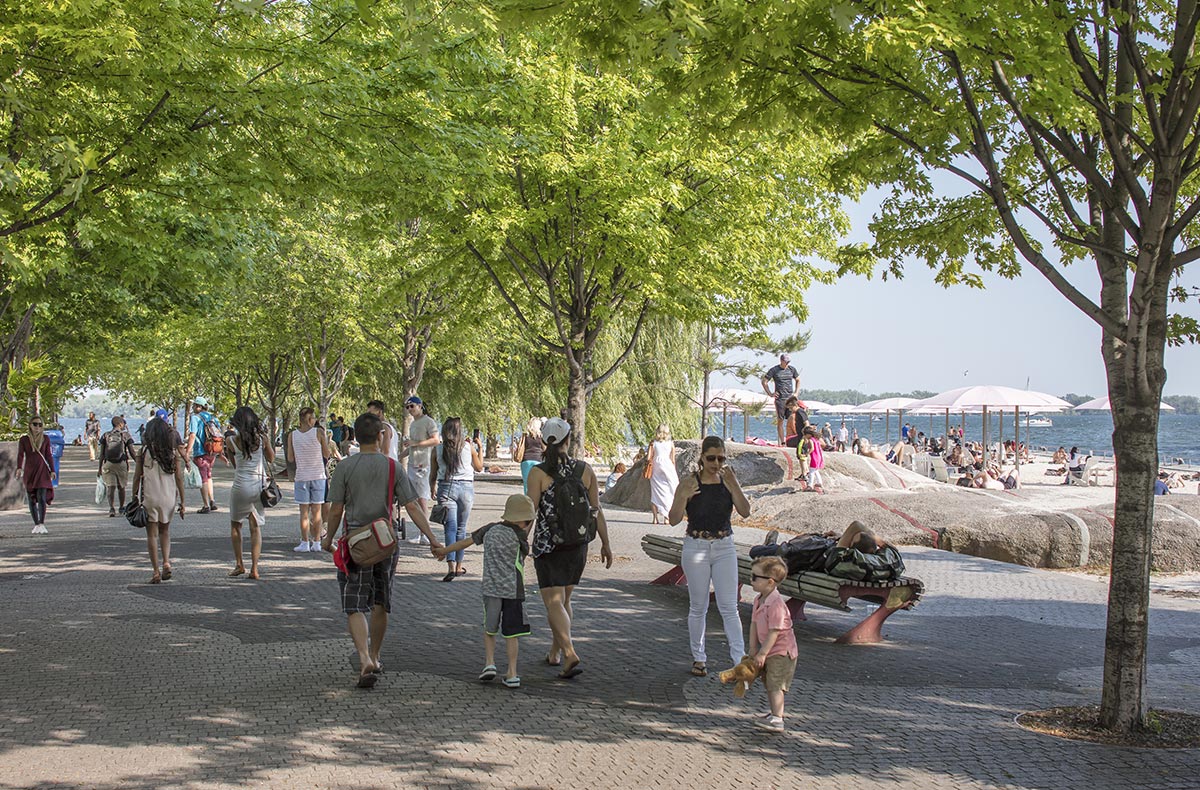 A decade ago - in anticipation of climate change - we began planting trees for the climate of Washington, DC, in Toronto. These trees are thriving today (see Sugar Beach, below). Street trees are much trickier due to the abuse they take from winter salt, bikes, pedestrians,