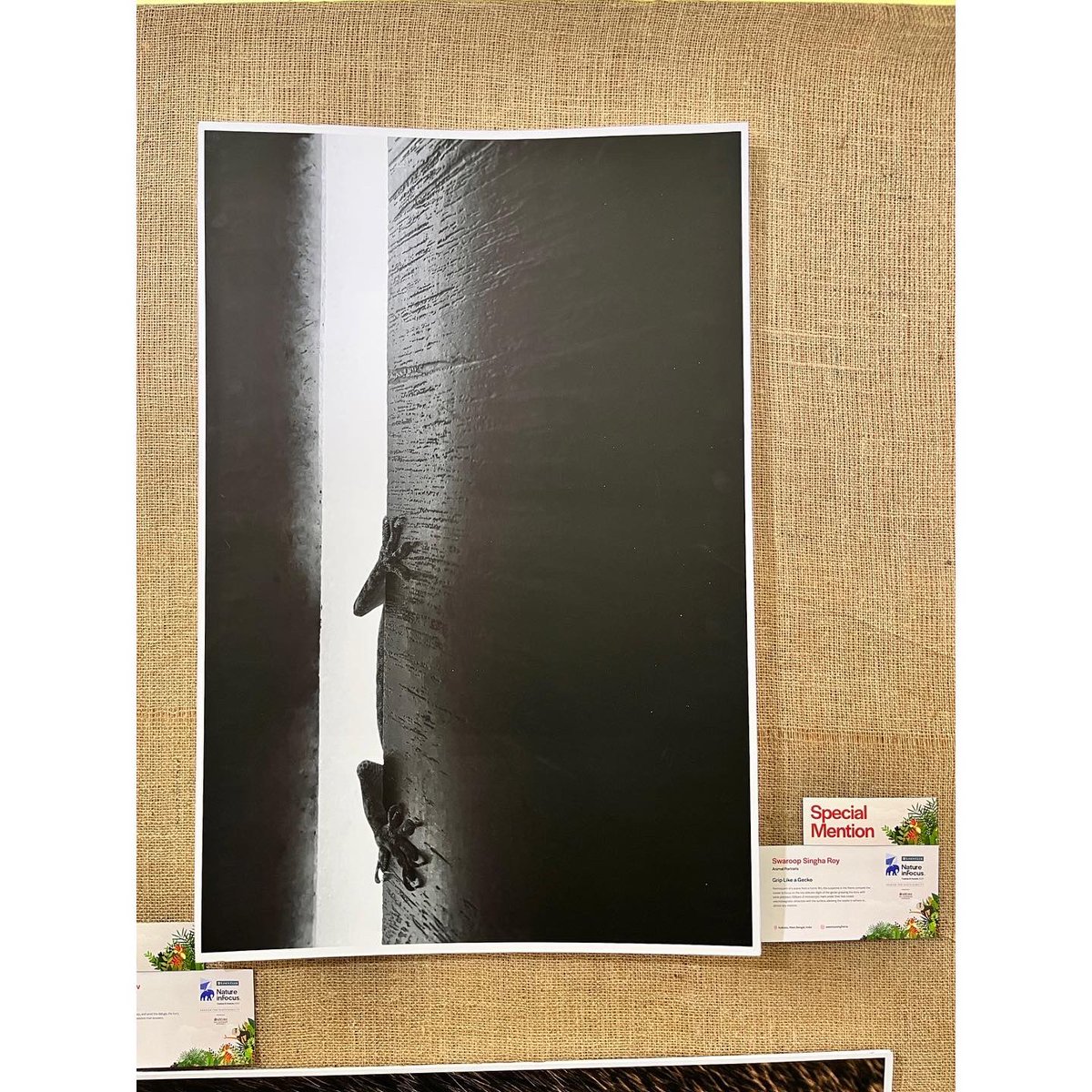 Swaroop Singha Roy tweet media