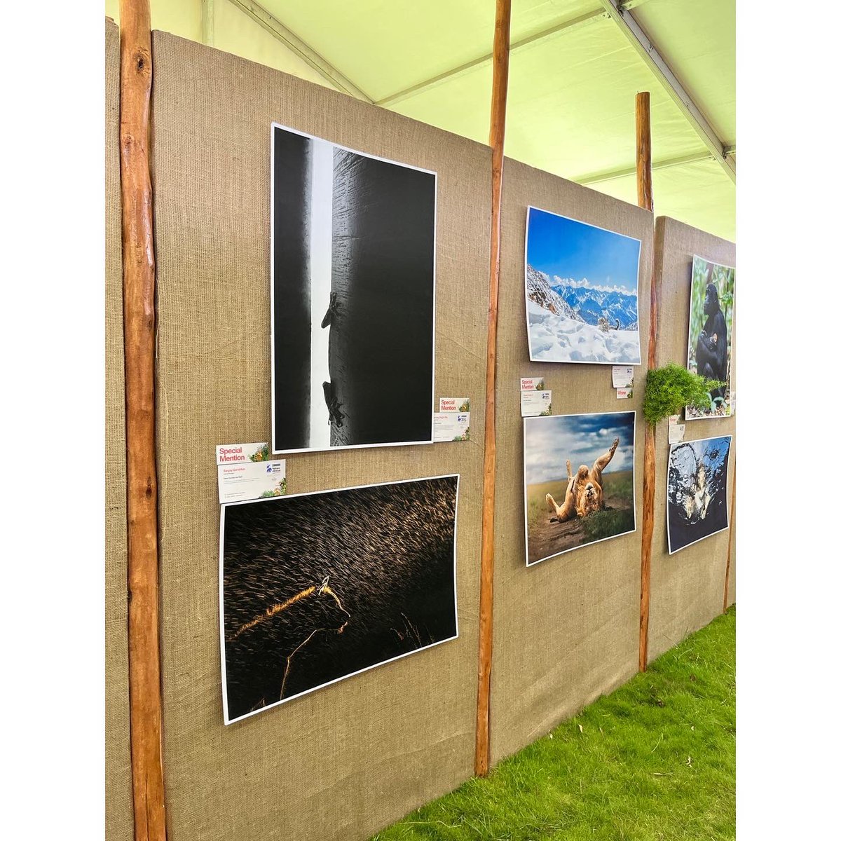 Swaroop Singha Roy tweet media