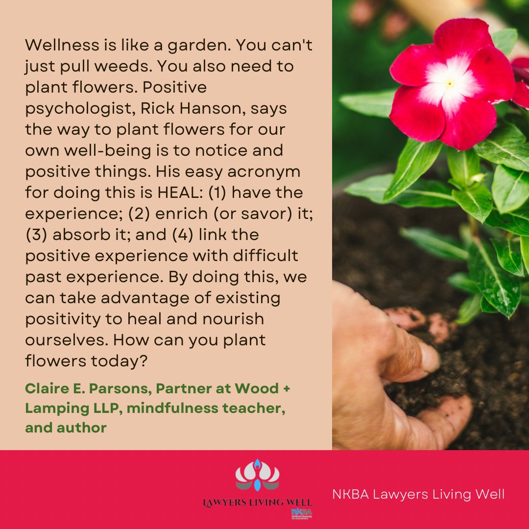 I wrote this for the @NKYBARASSN Lawyers Living Well Committee today. Check out the Committee’s work and go read some Rick Hanson. #Lawyers #lawtwitter #mentalhealth #lawyerwellbeing #mindfullness