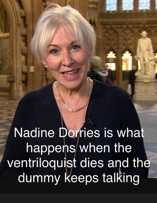 terminallytangerine tweet media