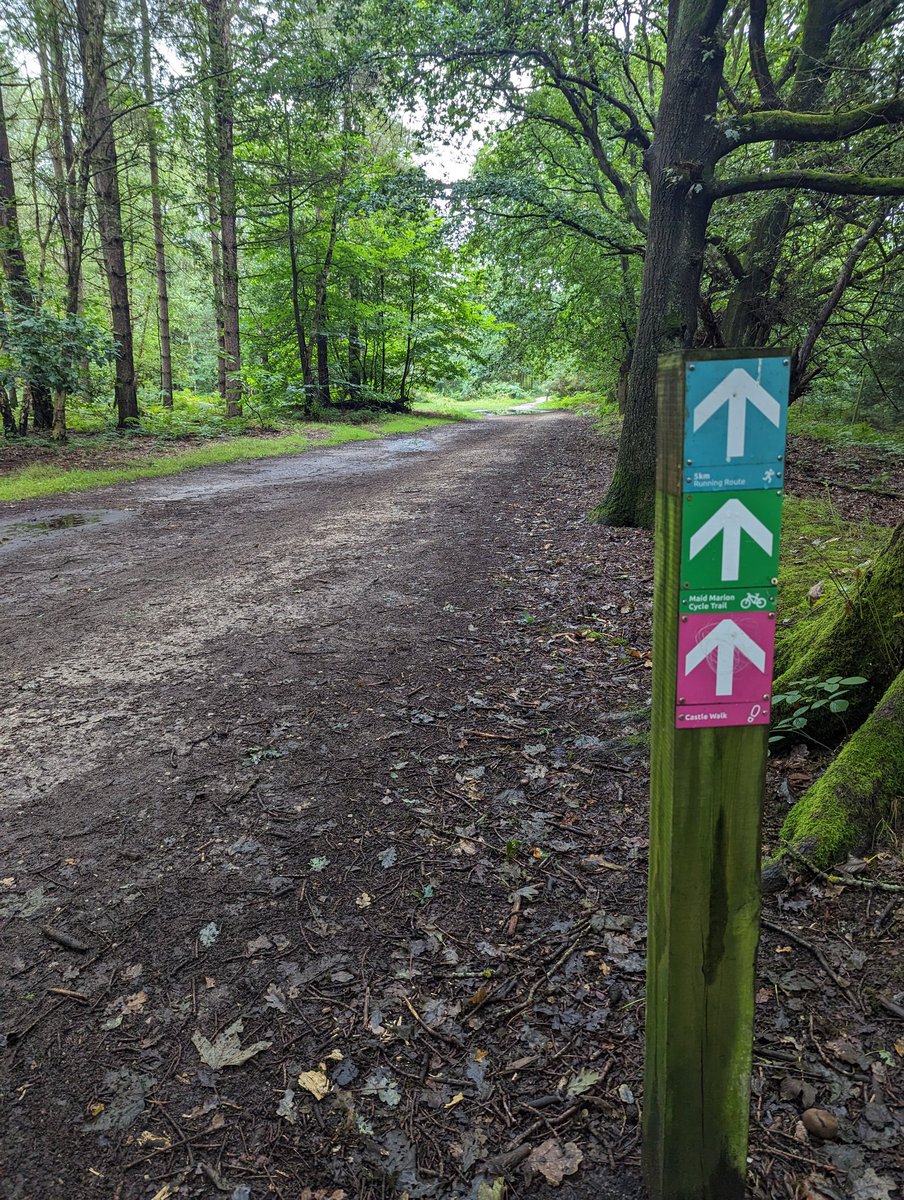 Day 3 in Sherwood Pines Forest #AHPsActive #DogWalks