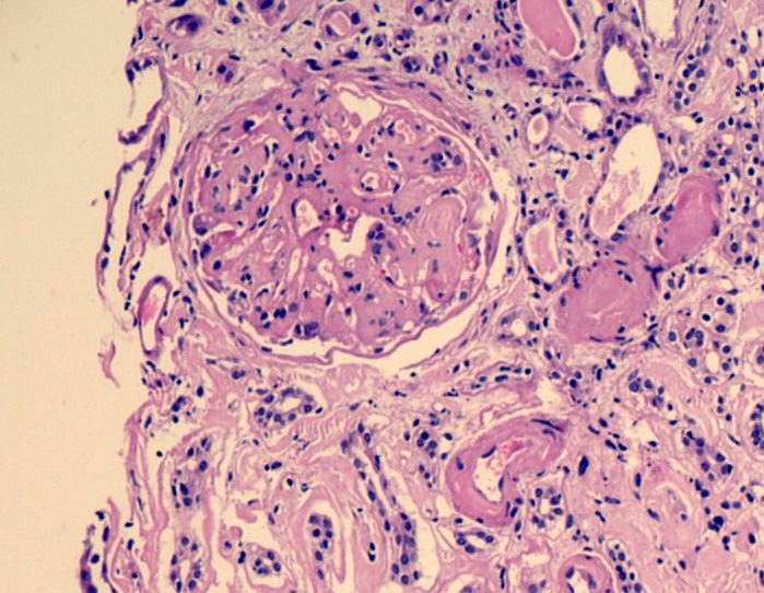 Renal Path Labs tweet media