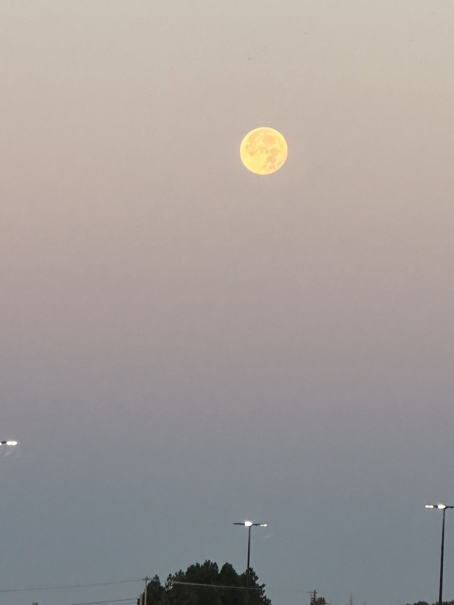 s_mi_rai's tweet photo. नजिक , अलिक नजिक, धेरै नजिक । बिहानीकाे चन्द्रमा । 🌕 X काे मालिककाे प्रभाव पर्न थाल्याे जस्ताे छ । 😄😄 https://t.co/eB9QYLZK8N