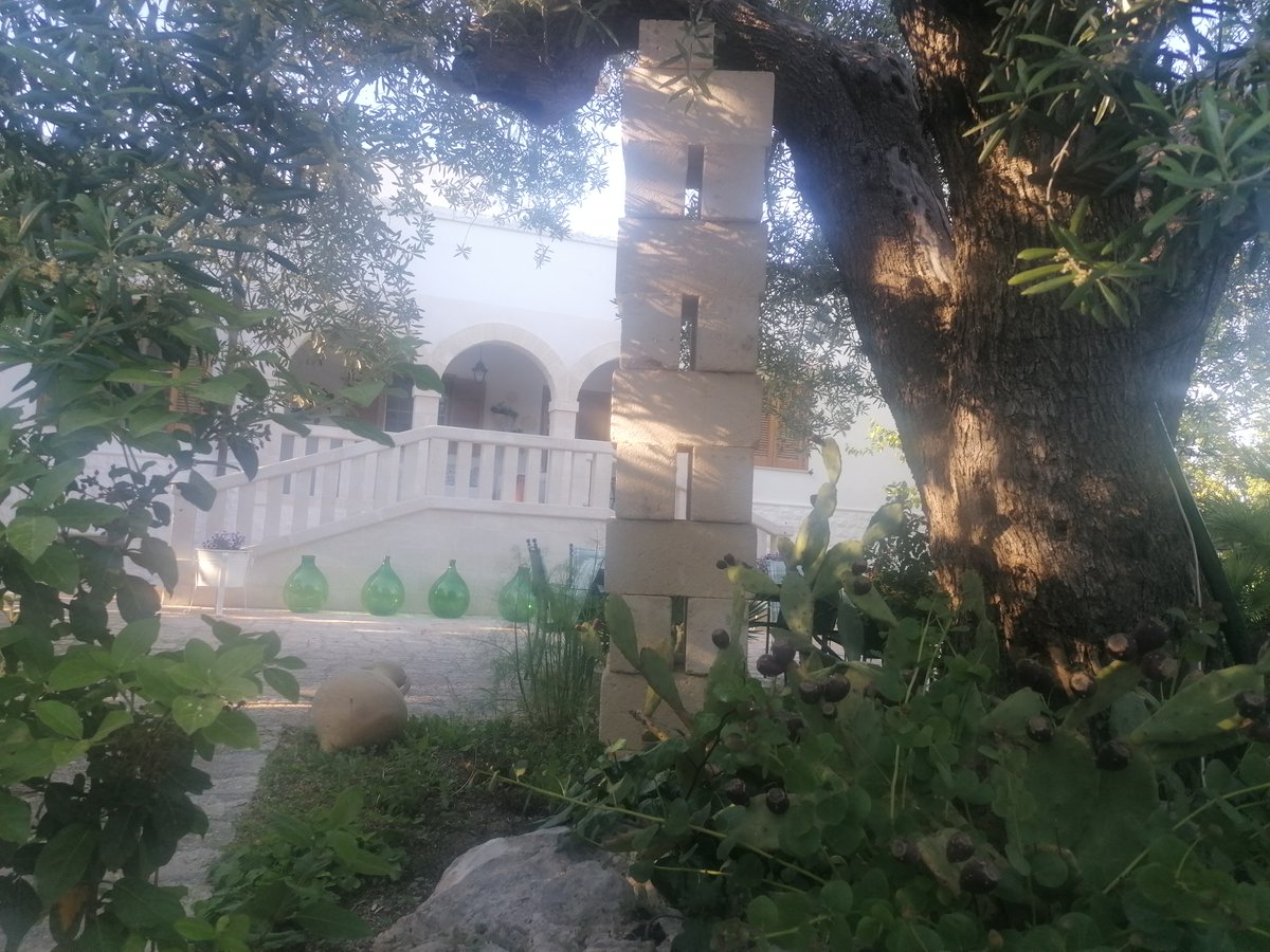 agriturostuni's tweet photo. For the 2023 summer season choose a real Charming #farmhouse in #ostuni #puglia #visitsouthitaly #pugliagram Tel. 0831 330683 Whats App Contact 328 886 3169 https://t.co/NlWtc4CYjJ https://t.co/nUL6KtiYh8