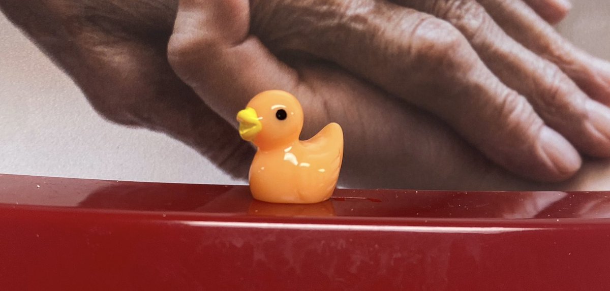 Someone hid little ducks around my work 🤣🦆