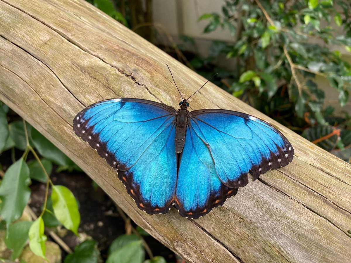 TiDeLutteLosser's tweet image. 𝐒𝐥𝐞𝐜𝐡𝐭 𝐰𝐞𝐞𝐫 𝐭𝐢𝐩𝐬! ☔️

Het regent, het regent, de pannen worden nat... Wij hebben een aantal tips voor jullie om ook deze regenachtige dagen goed door te komen 🥳

Bekijk onze tips: 
visitdeluttelosser.nl/zien-doen/nieu… 

#slechtweertips #slechtweer #twente #visitdeluttelosser