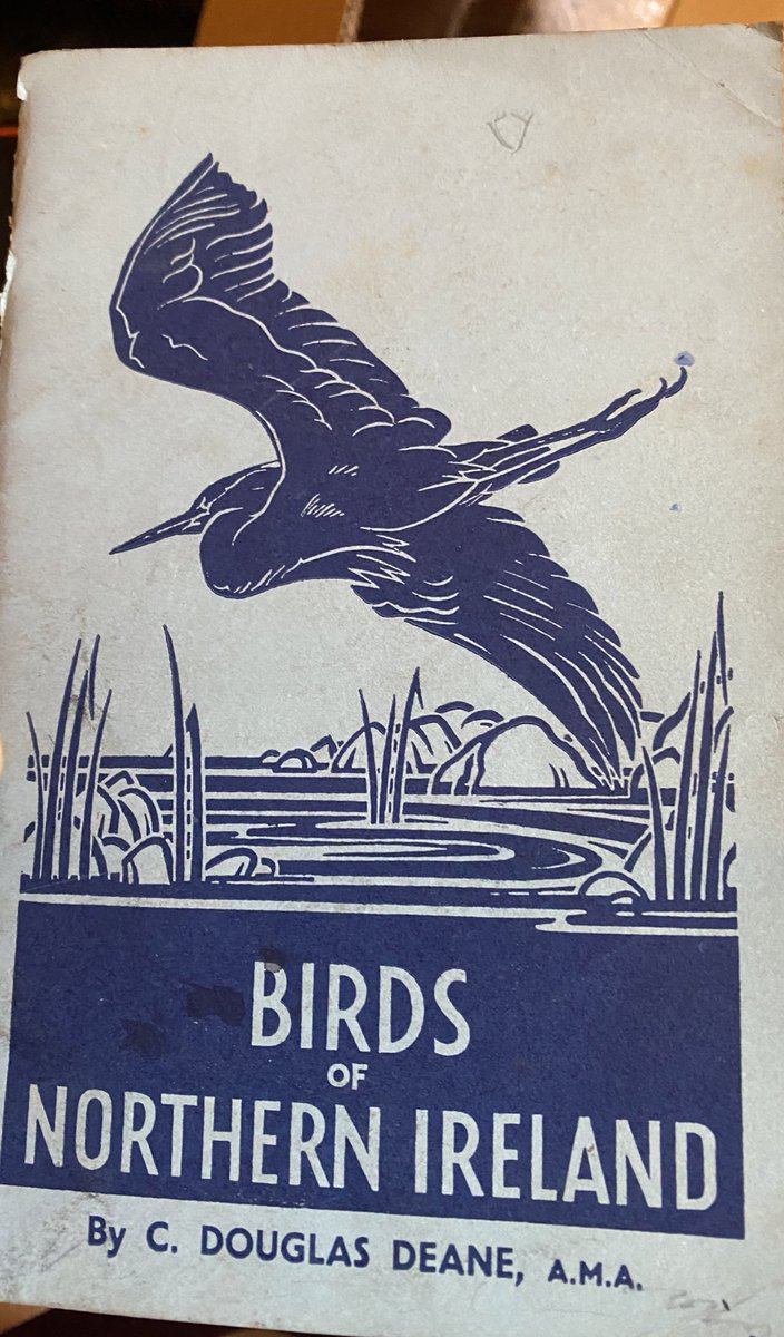 It’s some job telling these feathery lads not to cross over me