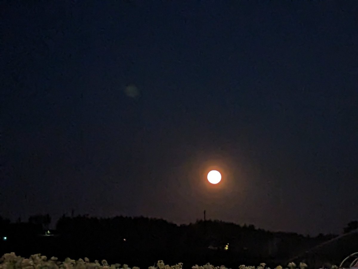 SocMedGirlyyj's tweet photo. Moon over Michell's.
Last night's #supermoon did not disappoint, as it lit up the farm fields.
#GrainMoon #CSaan https://t.co/4mw1ixQo7P