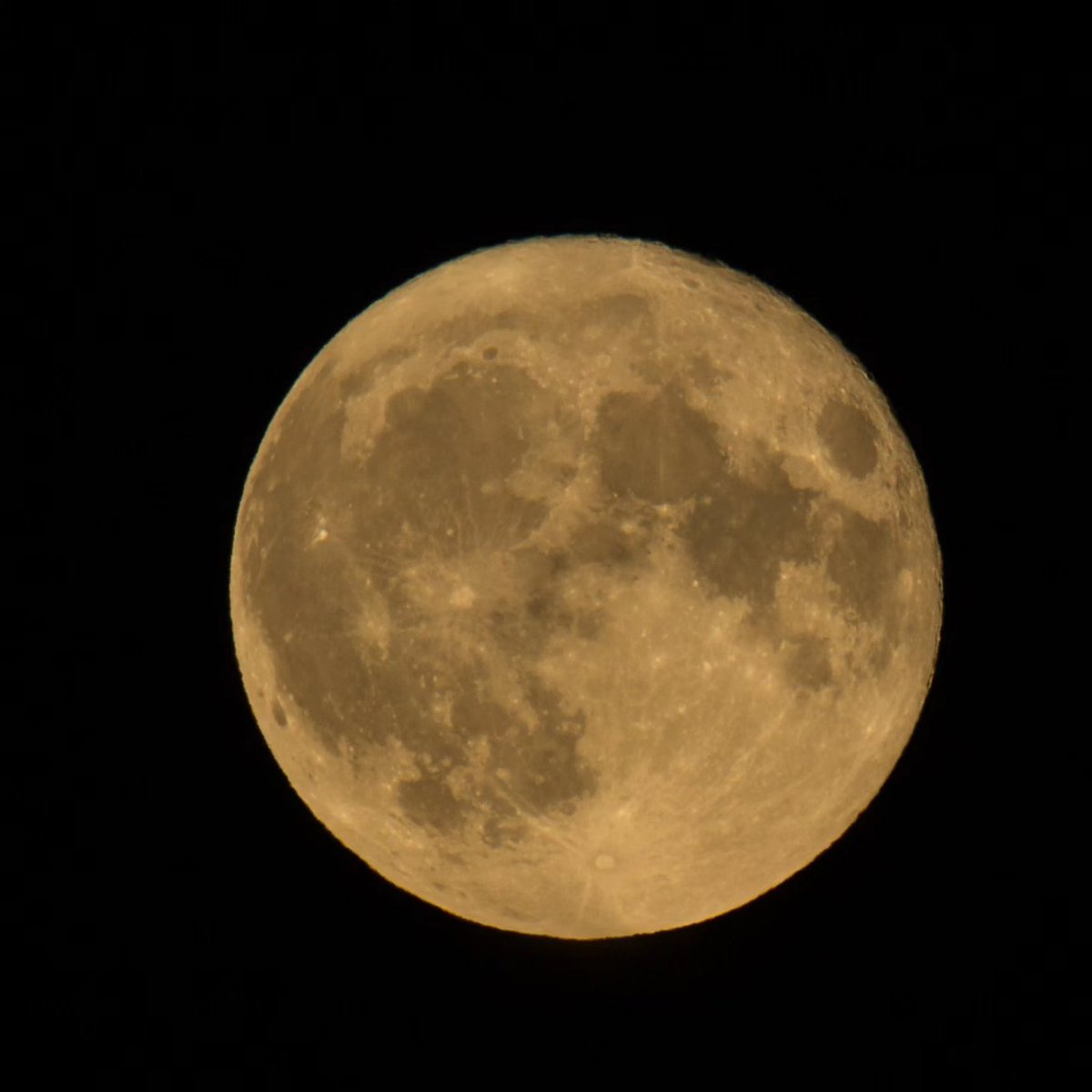 Happy Full Moon in Aquarius 🌕 #Fullmoon #moon #nightsky #moonrise #kootenaylife