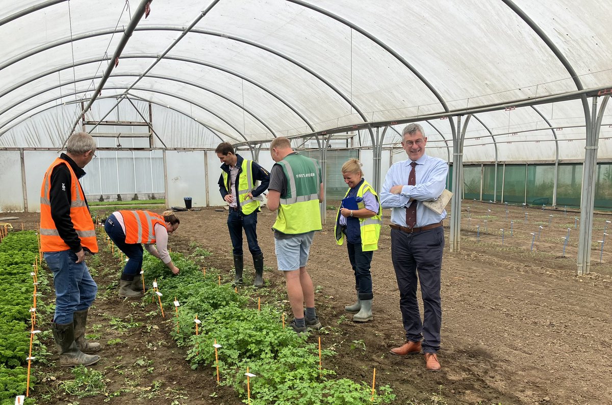 Steph Beavis (@stephrbeavis) on Twitter photo There’s a lot to get excited about with our #herbs and baby leaf range 🌿 here we are this morning discussing #breeding goals that align our grower’s requirements worldwide 🌍
<a href="/Elsomsseeds/">Elsoms Seeds</a>
#growmorefromless There’s a lot to get excited about with our #herbs and baby leaf range 🌿 here we are this morning discussing #breeding goals that align our grower’s requirements worldwide 🌍
<a href="/Elsomsseeds/">Elsoms Seeds</a>
#growmorefromless