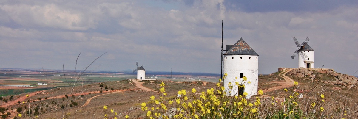 taranta79's tweet photo. @LaManchaImporta Herencia cuenta con un total de siete molinos, aunque en el año 1807 se contabilizaron hasta once. Quedan : ‘El ama’, ‘La Sobrina’, ‘Dulcinea’, ‘Maritornes’, ‘La dueña dolorida’, ‘La Duquesa’ y ‘Teresa Panza’ todos con nombre de mujeres. https://t.co/jgd9SMI2E4