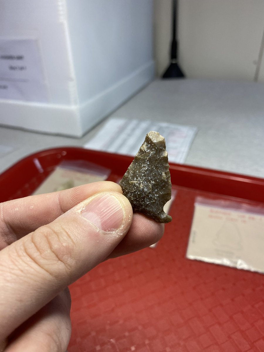 Not everyday you get a chance to hold a 4,000 year old arrow head. Pretty cool stuff going on in The archeology lab!

#distancelearning #texasstateparks #txstateparks #education #learning
