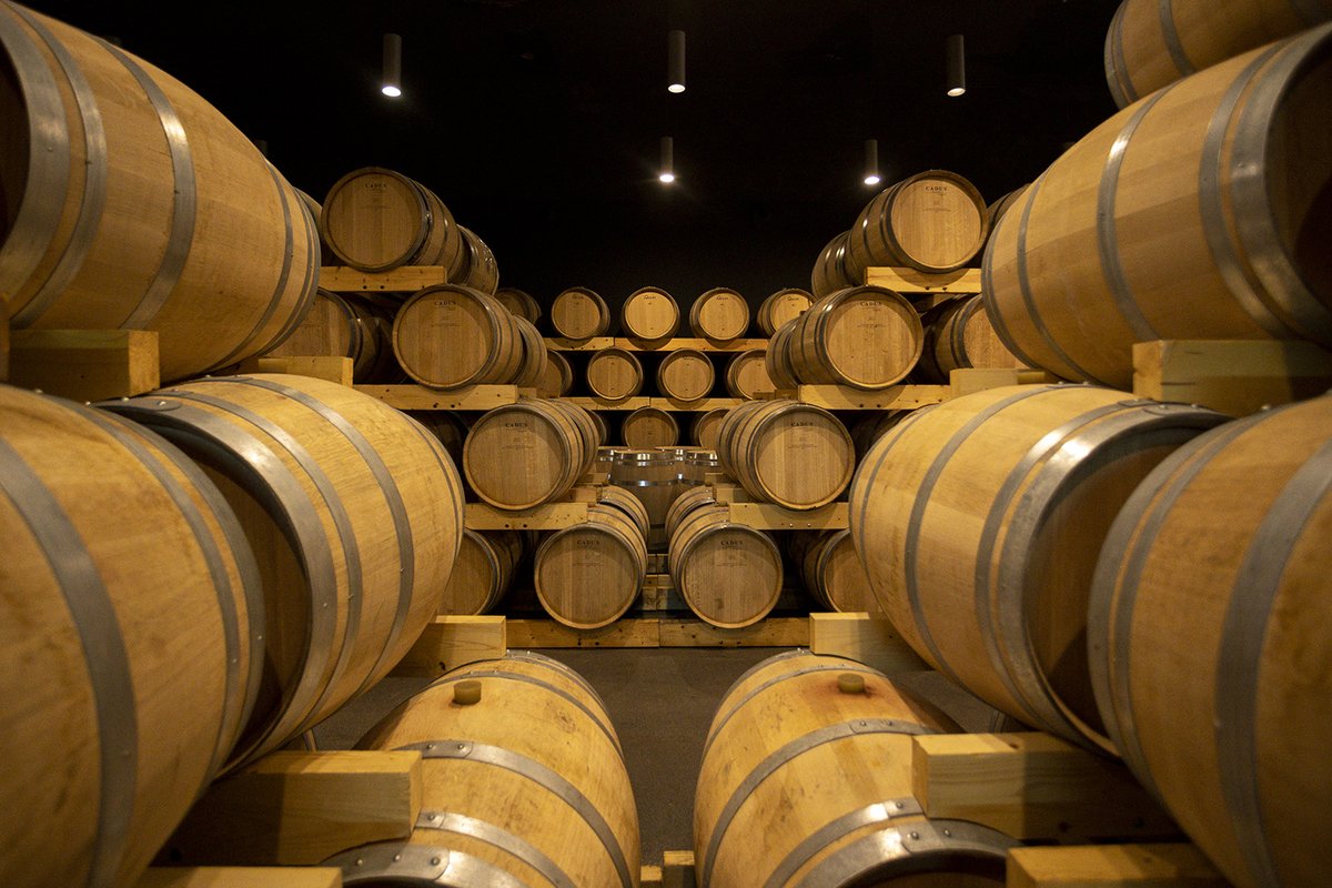 José Moro tweet media