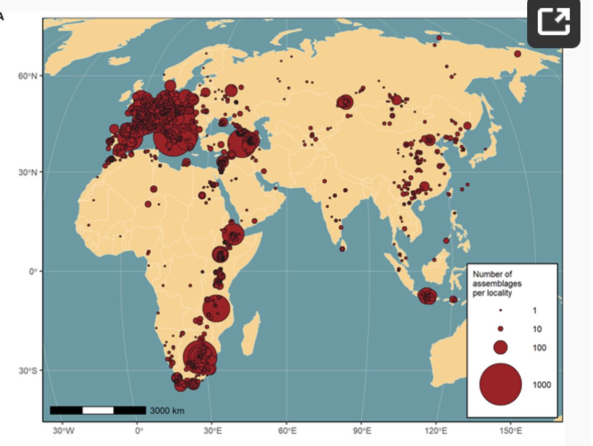 A beautiful illustration of geographic bias in human evolutionary studies thanks to the compilation of the ROCEEH Out of Africa Database (ROAD) journals.plos.org/plosone/articl…