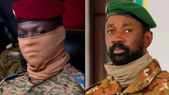 El Necio tweet media