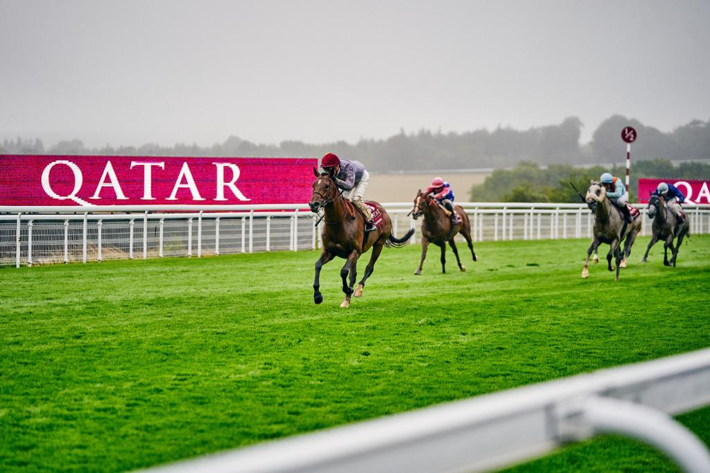 AlShaqabRacing's tweet photo. ๐ฅ Eye-catching G1 victory under our colors courtesy of our #AlMourtajez's AL GHADEER who left a lasting impression to win the G1 Qatar International Stakes at @Goodwood_Races, his 4th G1 success
It was also a beautiful ๐ฅ-๐ฅfor our stallions with #Dahess' FIRST CLASSS strong 2nd https://t.co/VYPHmtYHes