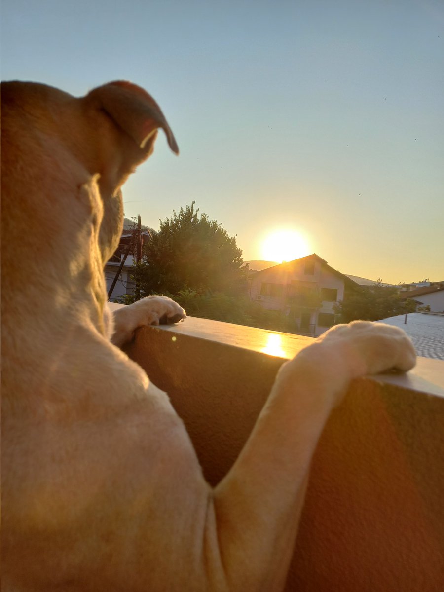 Имајте убава вечер!💕