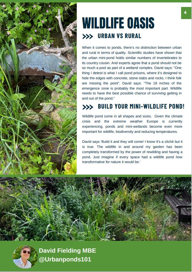 I thought you might like to have a quick read of an article about Ponds and Mini-Wetlands. 

#WetlandsCan #MiniWetlands #Pondwatch