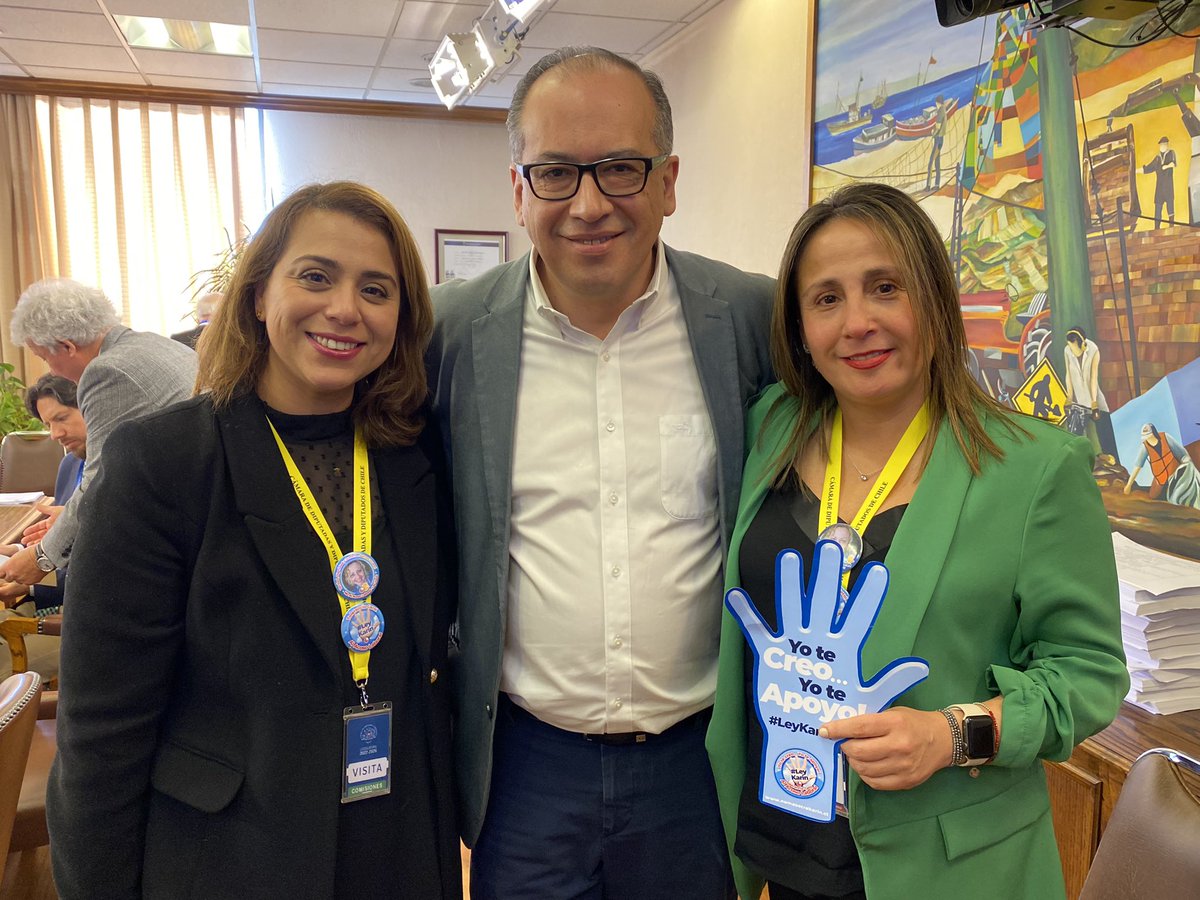 Diputad@s PPD-Independientes tweet media
