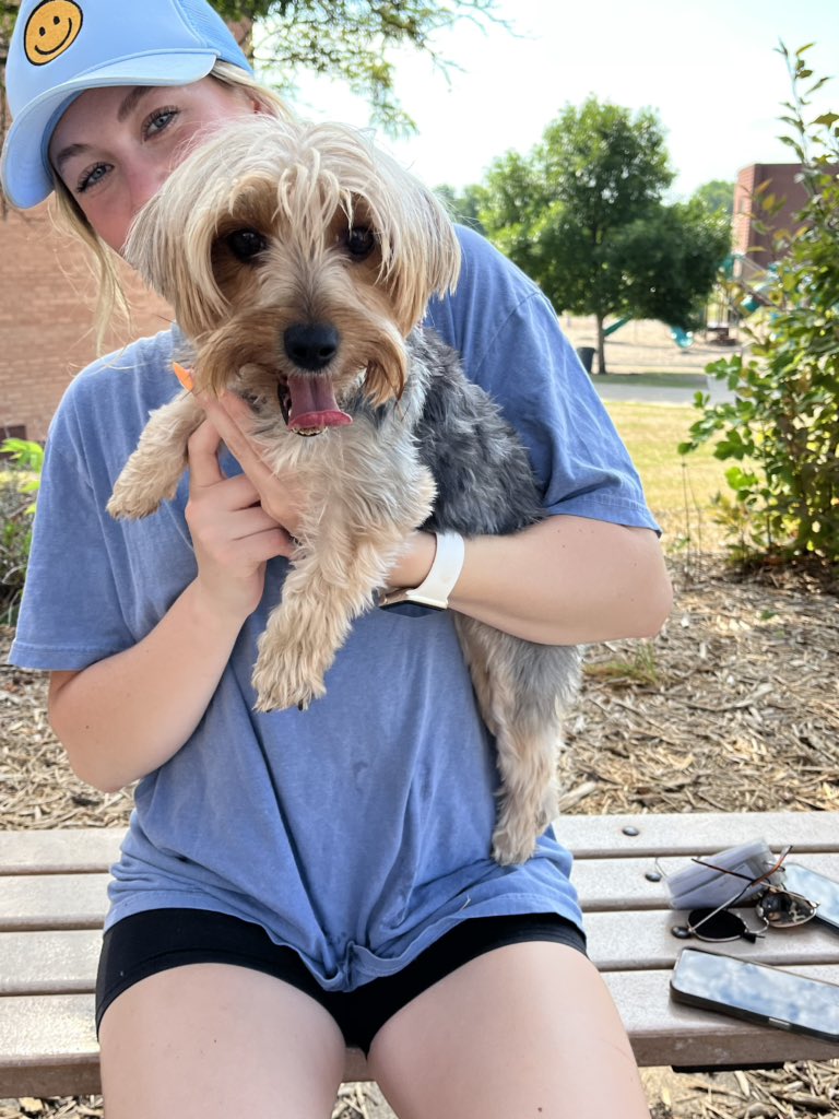 Lost Small Dog found by Hidden Valley’s Summer School students.