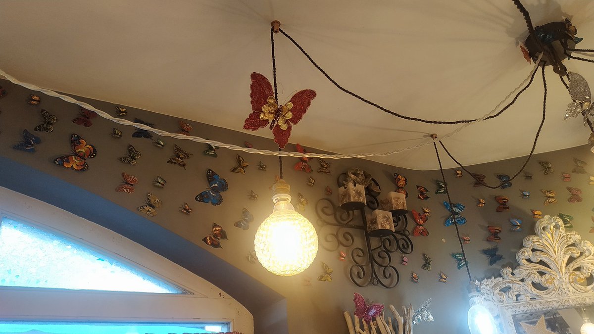 Ruth_Escobes's tweet photo. Después de una buena caminata observando #Mariposas por los lagos de Colomèrs #ValleDeArán, no se me ocurre mejor sitio para reponer fuerzas que en Frutería Juantxo #Arties 😆🦋🦋🦋 https://t.co/AmrWaDxaVs https://t.co/nURLXqW3LO