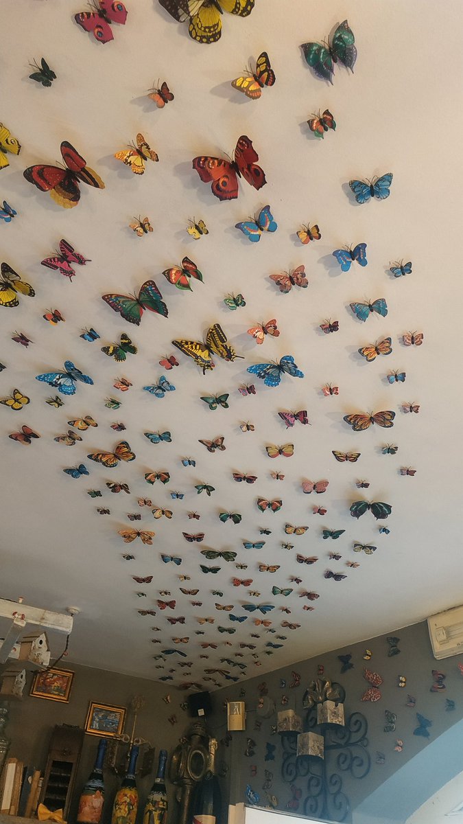 Ruth_Escobes's tweet photo. Después de una buena caminata observando #Mariposas por los lagos de Colomèrs #ValleDeArán, no se me ocurre mejor sitio para reponer fuerzas que en Frutería Juantxo #Arties 😆🦋🦋🦋 https://t.co/AmrWaDxaVs https://t.co/nURLXqW3LO