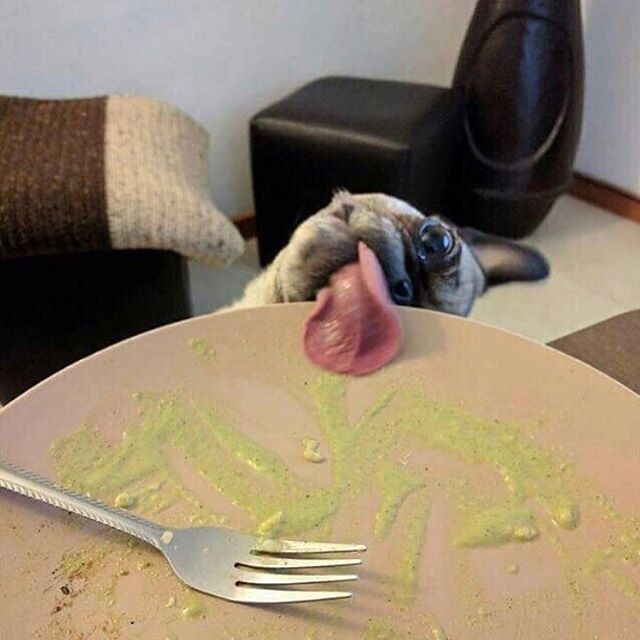 kitawny24's tweet photo. #MannersAtTheTableInclude
Not licking your plate 😬 https://t.co/zIZLVMa8Ak