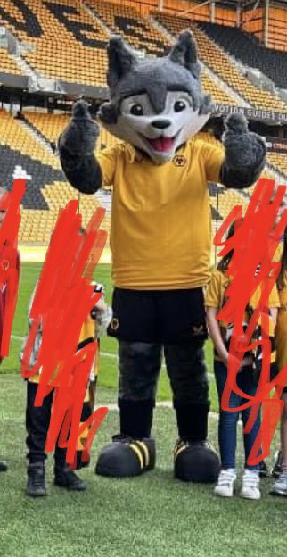 chloejanehadley's tweet photo. What the hell has happened to Wolfie? https://t.co/3OUWLmNc6D