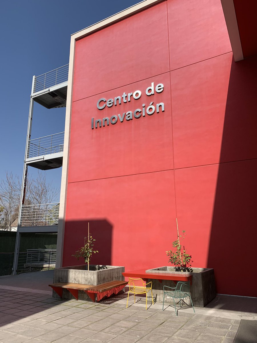 daniela luchsinger tweet media