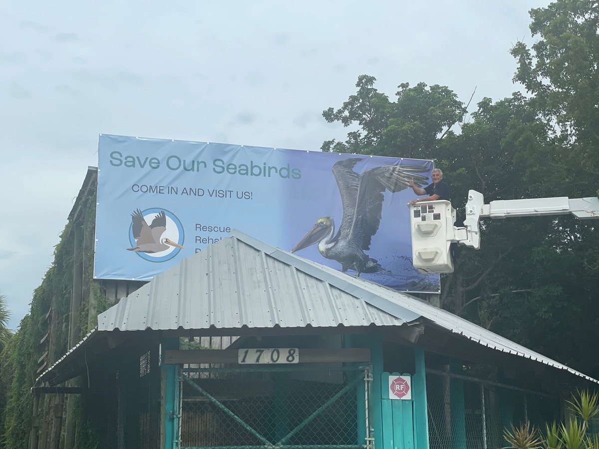 It takes a village!  John was at Save our Seabirds yesterday to help hang a new banner.  
Check out the awesome team and their hard work! 
@SaveOurSeabirds #GorillaKleen