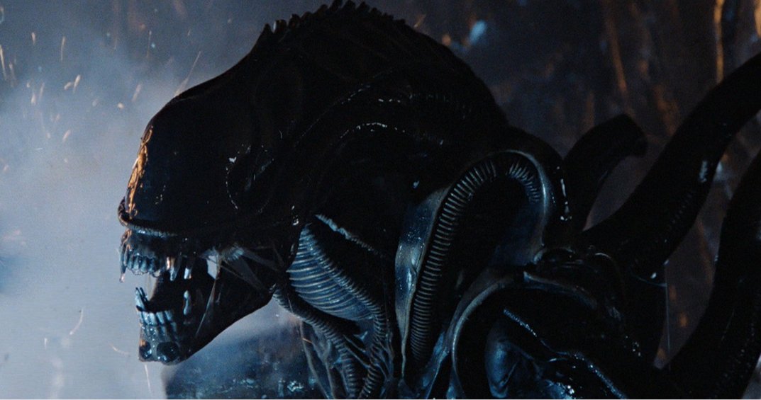aliensexpanded's tweet image. The alien screams are Baboon shrieks altered in post. One of the most iconic sound effects in cinema history. What other classic sound efects from Aliens are your favorites?
#Alien #Aliens #JamesCameron #AvP #SciFi #80s #AliensExpanded