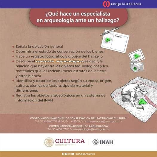 ENCRyM's tweet photo. ¿Sabes qué hace un especialista en #arqueología ante un hallazgo?
Te invitamos a conocer más información al respecto en esta infografía realizada por la @CNCPC_INAH.
#ENCRyM #CNCPC #INAHenMovimiento https://t.co/4ABFs58Yzv