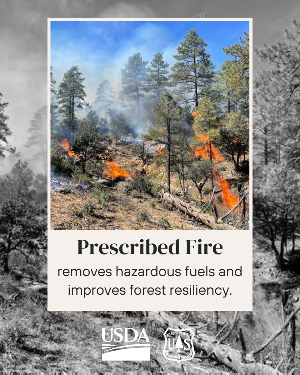 Specific information about wildfires and prescribed fires can be found on forest websites, social media platforms, and @inciweb ow.ly/y0nj50OOCw2