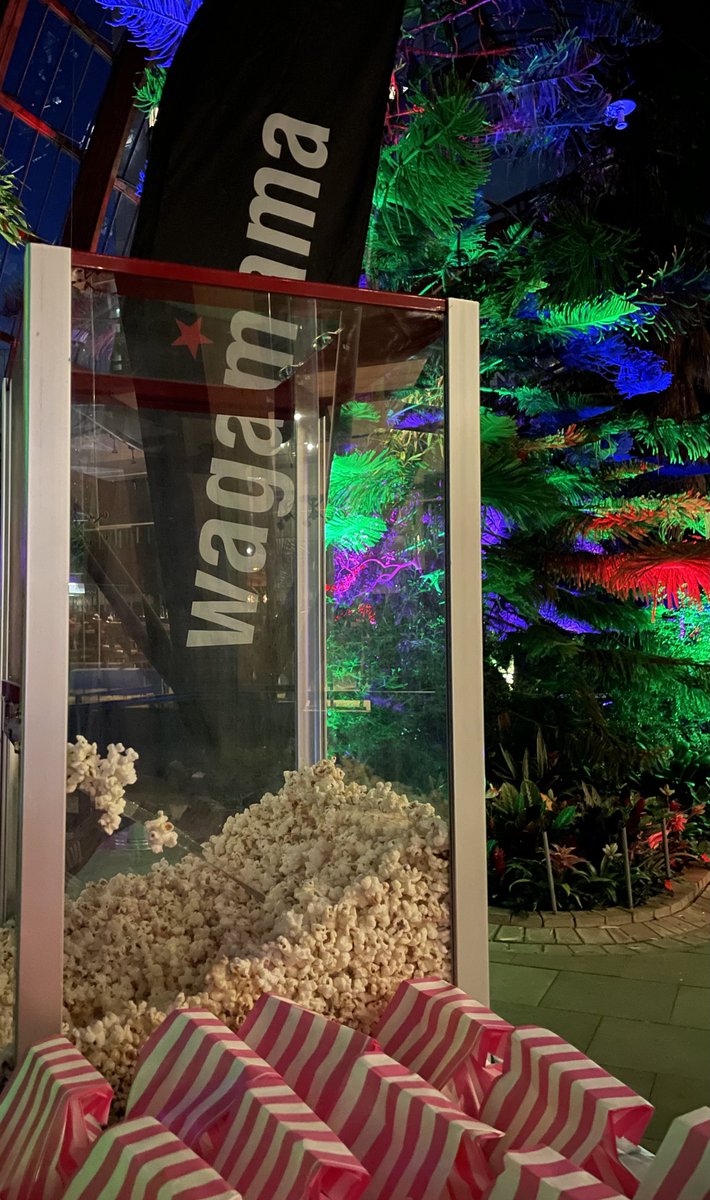 VillageScreen's tweet image. What a fantastic event this weekend with @wagamama_uk 

Thanks to everyone that joined us and made it such a fabulous evening at Sheffield’s Winter Garden ♥️

To Wong Foo, Thanks for Everything Julie Newmar 🌺🌿