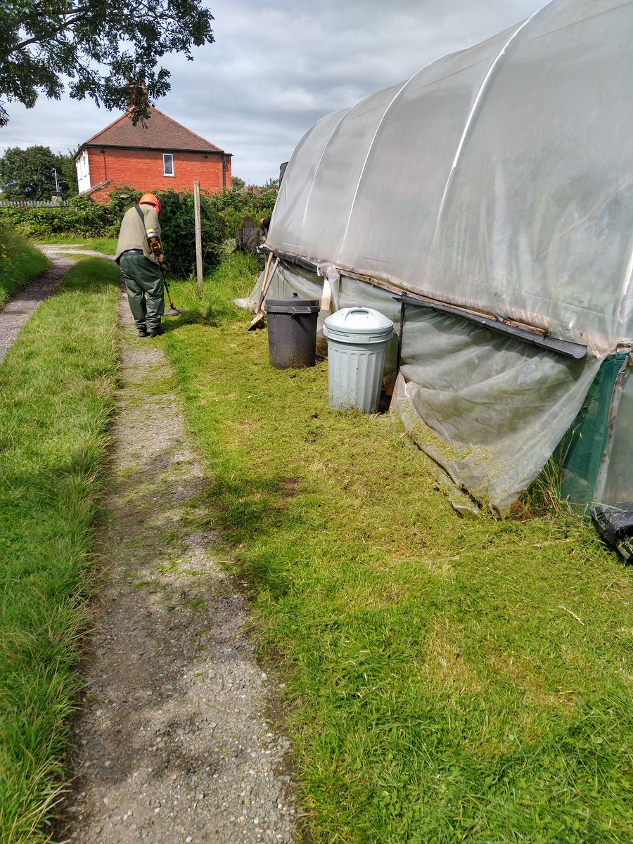 Dig In Community Allotment tweet media