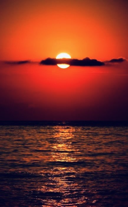 Teslaconomics tweet media