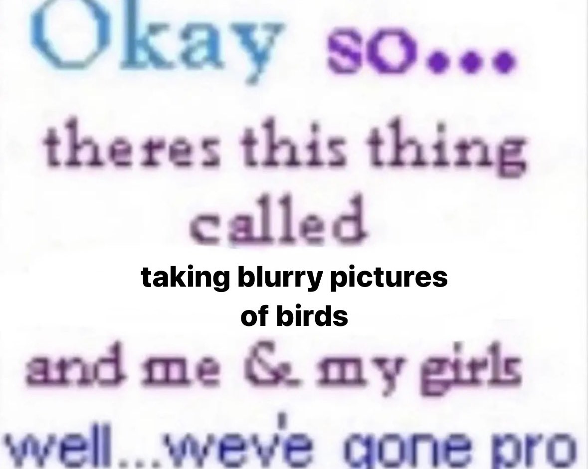 kimberlee (@kimberleeerose) on Twitter photo 