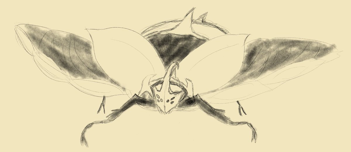 Cavesprout's tweet photo. Smaugust Day 1! Made a weird beetle dragon guy for Armor day :) https://t.co/5kU6GWqMJX