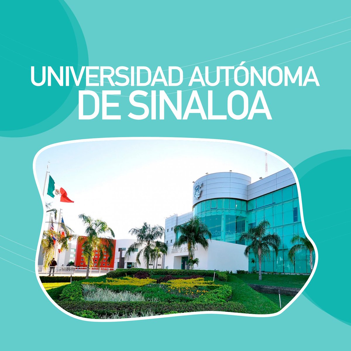 fese_mx's tweet photo. ¿Te has preguntado cuáles son las mejores universidades del país? Times Higher Education responde esa pregunta con su investigación:

https://t.co/UDVSgUaKRT https://t.co/dk2VDudDOY