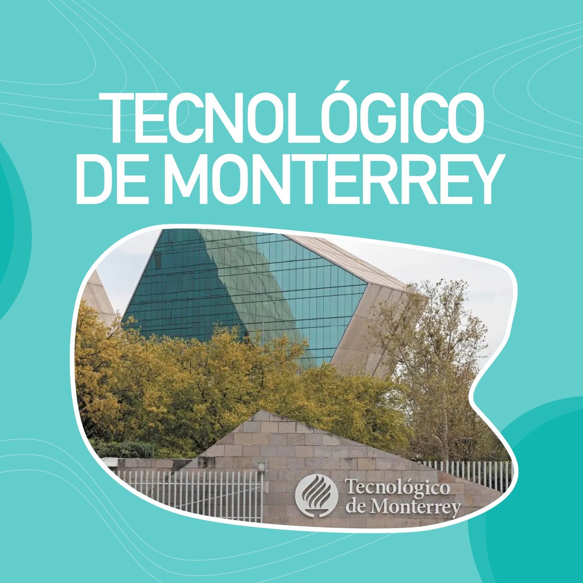 fese_mx's tweet photo. ¿Te has preguntado cuáles son las mejores universidades del país? Times Higher Education responde esa pregunta con su investigación:

https://t.co/UDVSgUaKRT https://t.co/dk2VDudDOY