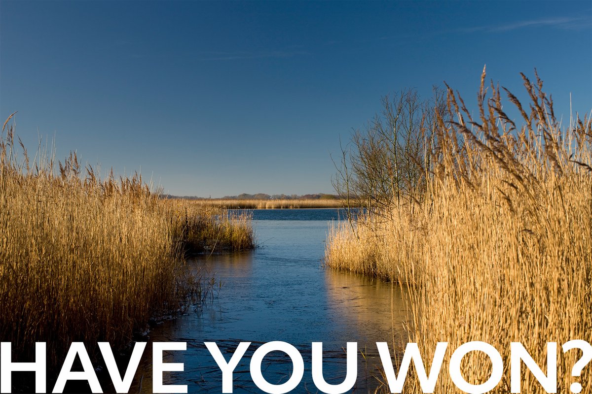 HerbertWoods's tweet photo. Exciting news, folks! ๐ The much-awaited announcement email for the Norfolk Broads Holiday Competition is now zooming its way to your inboxes! ๐ง Will you be the lucky winner? #HolidayCompetition #CheckYourEmails https://t.co/UC43iG9eRx