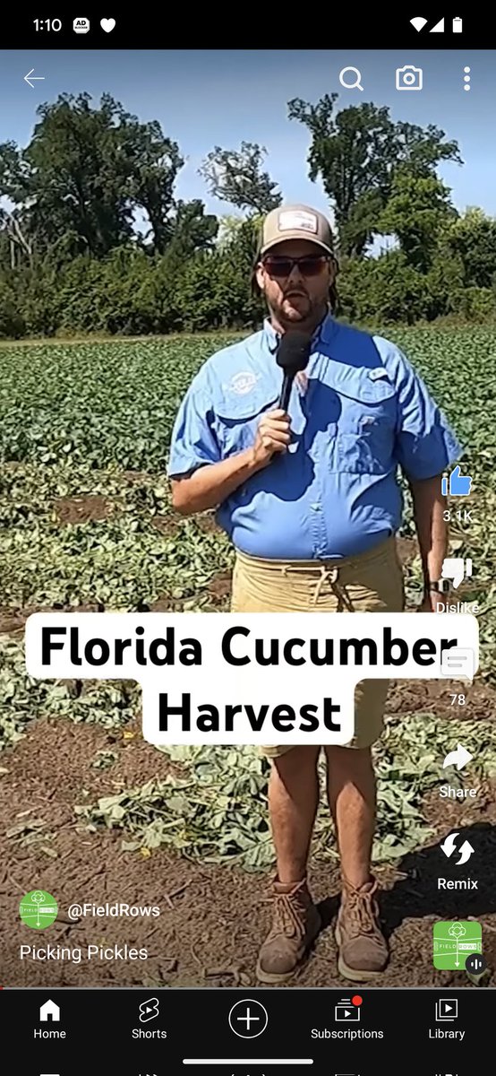 TurtleOfTime12's tweet image. I've decided to leave Ufology and become a cucumber 🥒 farmer. Wish me luck friends.
#FarmLife 
#farmers #farmlyfe
#ufoX 
youtube.com/shorts/4__mz4g…