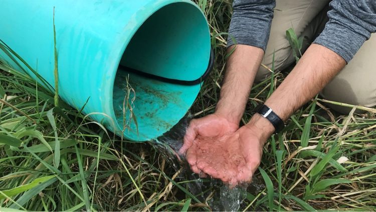 MSU AgBioResearch (@msuagbio) on Twitter photo AgBioResearch's <a href="/MSUEhsanGhane/">Ehsan Ghane</a> is partnering with <a href="/MichDeptofAg/">MI Ag & Rural Dev</a> to investigate the effectiveness of conservation drainage practices. These efforts are meant to reduce negative environmental impacts on the Great Lakes.
canr.msu.edu/news/msu-resea⦠AgBioResearch's <a href="/MSUEhsanGhane/">Ehsan Ghane</a> is partnering with <a href="/MichDeptofAg/">MI Ag & Rural Dev</a> to investigate the effectiveness of conservation drainage practices. These efforts are meant to reduce negative environmental impacts on the Great Lakes.
canr.msu.edu/news/msu-reseaā¦