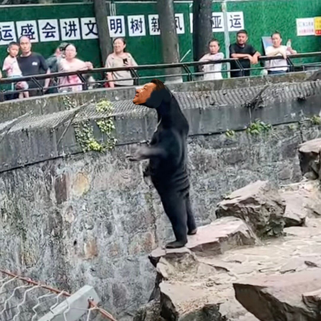 MsEBL's tweet photo. I thought #ChairmanXi was a #PoohBear, but apparently he is a #sunbear https://t.co/fQtfpzXfjB